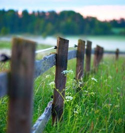 Long wooden fence