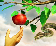 The serpent and the apple