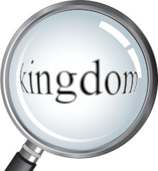 Kingdom under magnifying glass