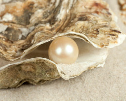 Pearl in oyster