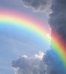 Rainbow