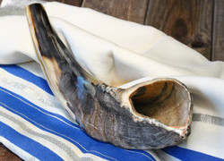 Shofar