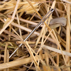 Needle in a haystack