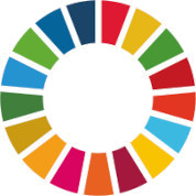 UN SDG logo