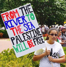 Anti-Israel protester